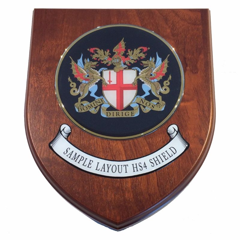 Presentation shield with round shaped centrepiece and scroll.